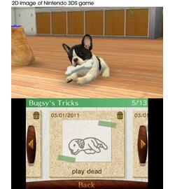 Nintendogs + Cats: Golden Retriever & Nieuwe Vrienden