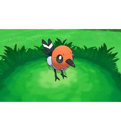 Pokémon: Y