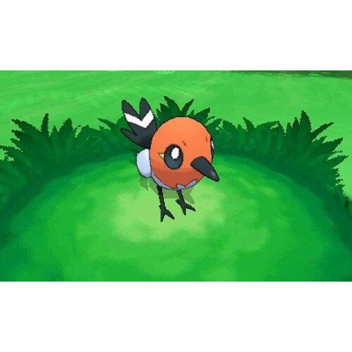 Pokemon y for sale 2025